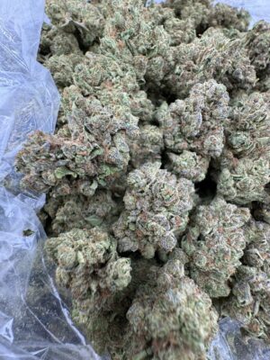  Blue Dream Strain