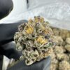pluto 85 strain