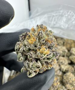 pluto 85 strain