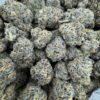 blueberry shortcake hybrid
