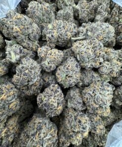 blueberry shortcake hybrid