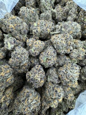 Blueberry Shortcake Strain