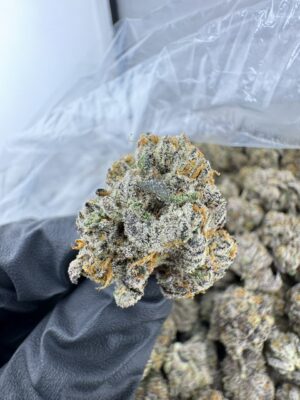 pluto 85 weed strain
