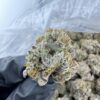 P-85 STRAIN