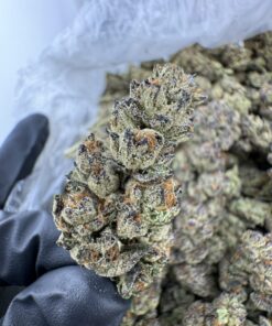 Rainbow Road strain