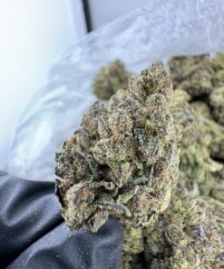 Lemon Cherry Pop strain