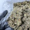 Buy Rainbow Road strain online