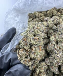 Buy Rainbow Road strain online