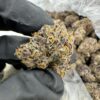 RAINBOW RUNTZ WEED STRAIN