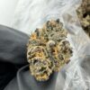 Blueberry Shortcake Strain