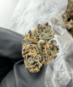 Blueberry Shortcake Strain