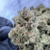 Buy Blue Dream strain online