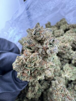 Blue Dream Strain