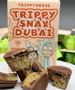 TRIPPY SNAX DUBAI,TRIPPY SNAX DUBAI PSILOCYBIN,TRIPPY SNAX DUBAI 6G PSILOCYBIN,TRIPPYVERSE,TRIPPYVERSE PSILOCYBIN CHOCOLATE BAR