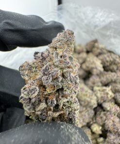 Triple Cherry Strain