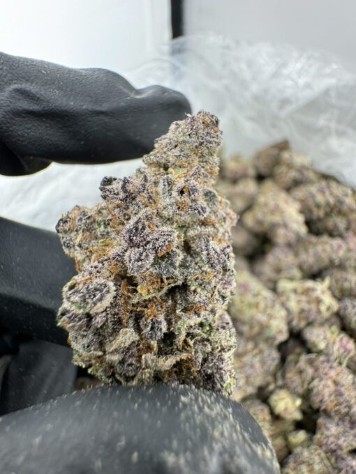 Triple Cherry Strain