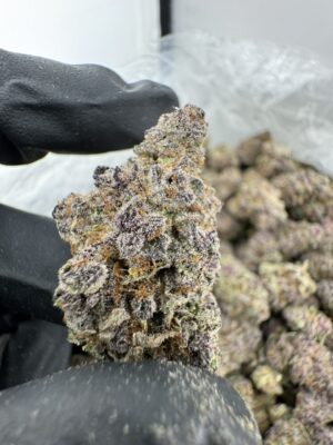 Triple Cherry Strain