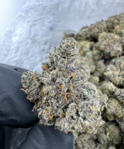 za morant strain thc level