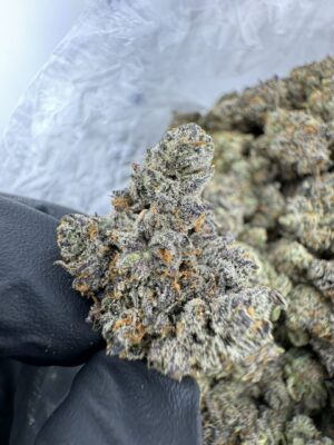Za Morant strain