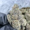 triple scoop strain