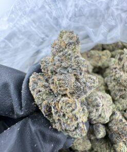 triple scoop strain