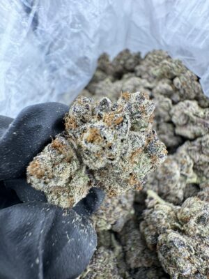 SILVER BULLET WEED STRAIN