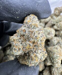 golden pear sticky rice strain