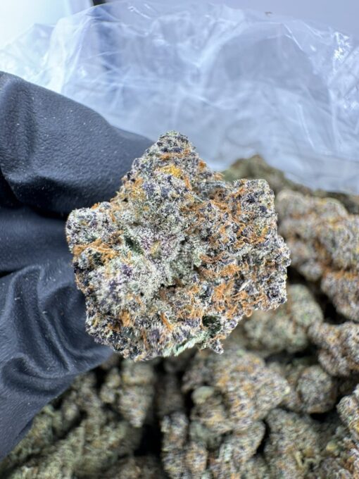 Bubblegum gelato strain