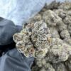 SILVER BULLET STRAIN