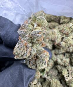 Mendo breath strain