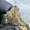 Dark web Strain