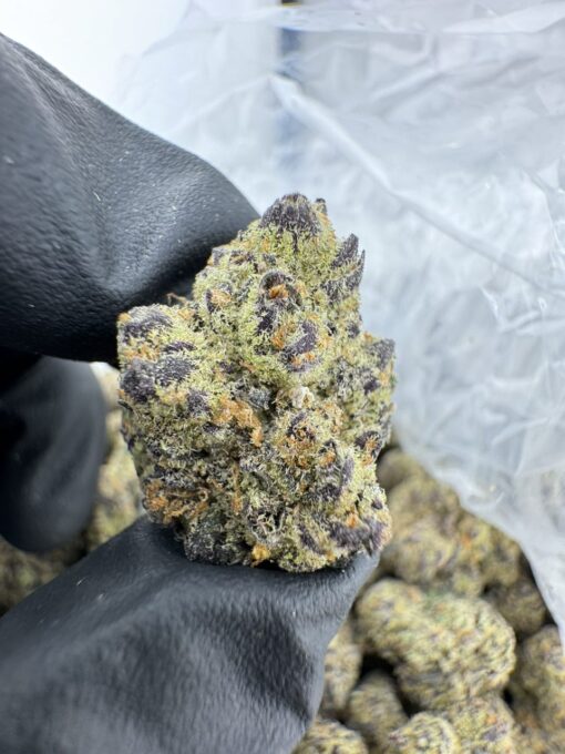 Dark web Strain