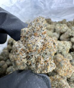 golden pear strain