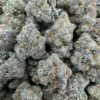 bubble gum gelato strain