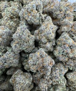 bubble gum gelato strain