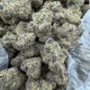 dark web alien labs