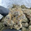 bubblegum gelato strain indica or sativa