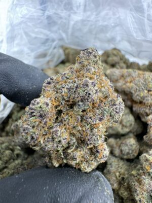 Bubblegum gelato strain