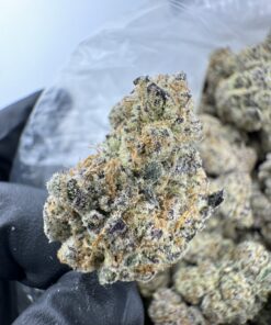 Blueberry mac strain