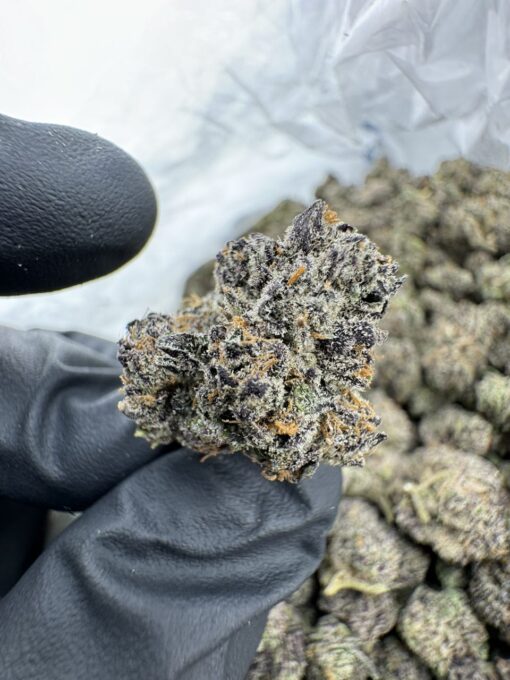 grape gatsby strain,grape gatsby,great gatsby dispensary,grape gasby strain,grape gatsby strain indica or sativa