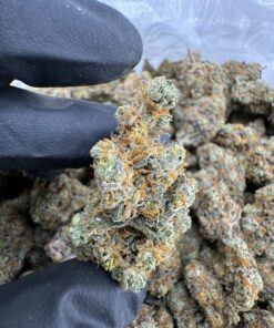 Nebula Strain,funky nebula strain,dark nebula strain,nebula buds,nebula weed