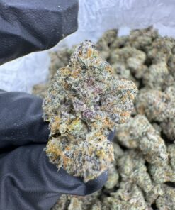snow cones strain