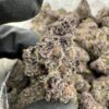 Lollipop Strain,lollipop weed,lollipopping weed,lollipopz strain,what is lollipopping