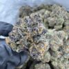 ZERO GRAVITY STRAIN,zero gravity weed strain,gravity cookies strain,zero gravity disposable,zero g strain