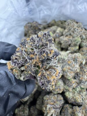 ZERO GRAVITY STRAIN,zero gravity weed strain,gravity cookies strain,zero gravity disposable,zero g strain