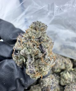 GREASY RUNTZ STRAIN,GREASY RUNTZ,GREASY RUNTS,GREASY RUNTZ STRAIN INDICA OR SATIVA,GREASY RTZ