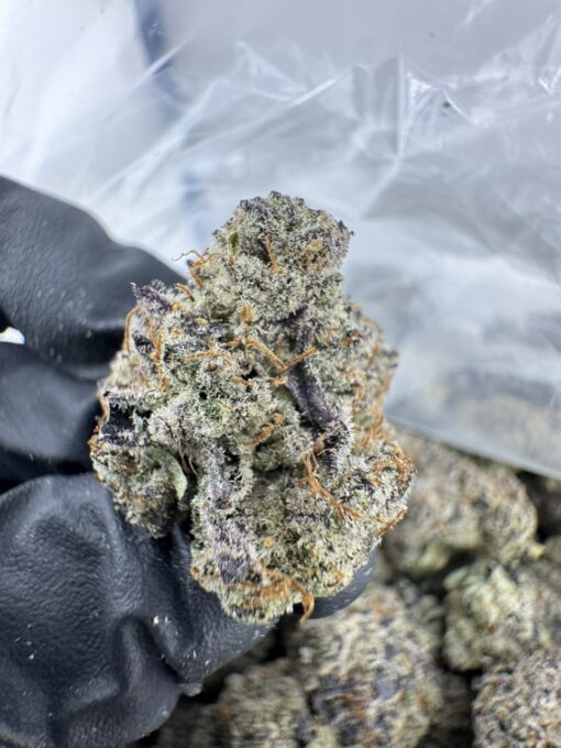 GREASY RUNTZ STRAIN,GREASY RUNTZ,GREASY RUNTS,GREASY RUNTZ STRAIN INDICA OR SATIVA,GREASY RTZ