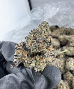 GOLD CASH STRAIN,GOLD CASH GOLD STRAIN,GOLD CASH GOLD,PUFFY THCA,gold cash strain thc level