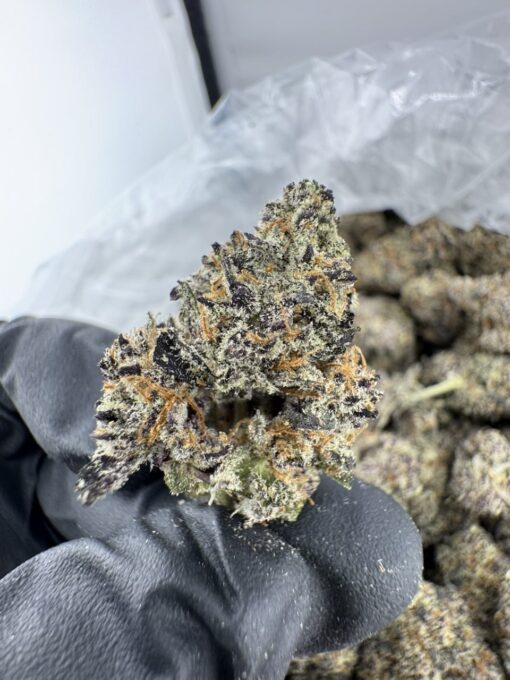 GOLD CASH STRAIN,GOLD CASH GOLD STRAIN,GOLD CASH GOLD,PUFFY THCA,gold cash strain thc level