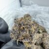 bacio gelato strain,BACIO GELATO,BACIO STRAIN,bacio gelato strain effects,bacio gelato strain indica or sativa